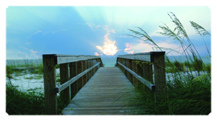 DSC700 125 Crossing Over (Boardwalk)